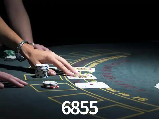 6855 Salvador - Support